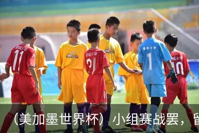 （美加墨世界杯）小组赛战罢，留下众多“闪亮的名字”
